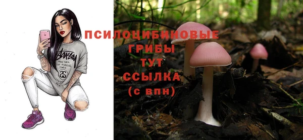 спиды Магадан