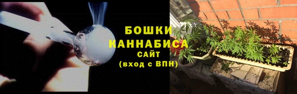 амф Нижний Тагил