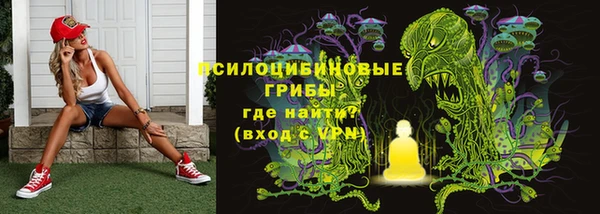 ешки Магас