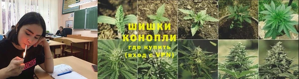каннабис Майский