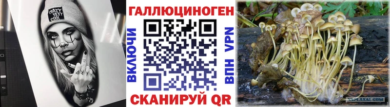 как найти закладки  Чулым  Псилоцибиновые грибы MAGIC MUSHROOMS 